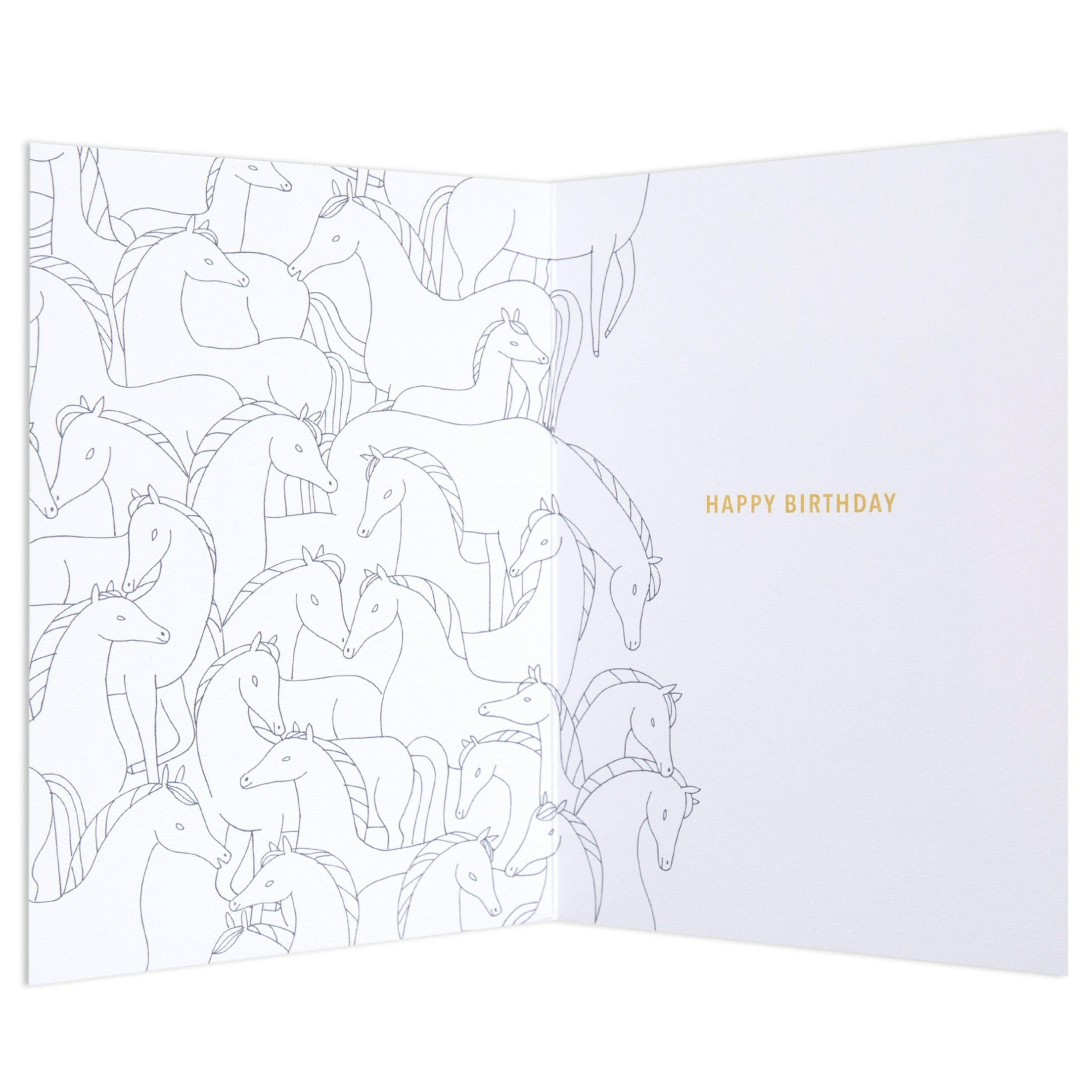 Fun Zebra Birthday Card