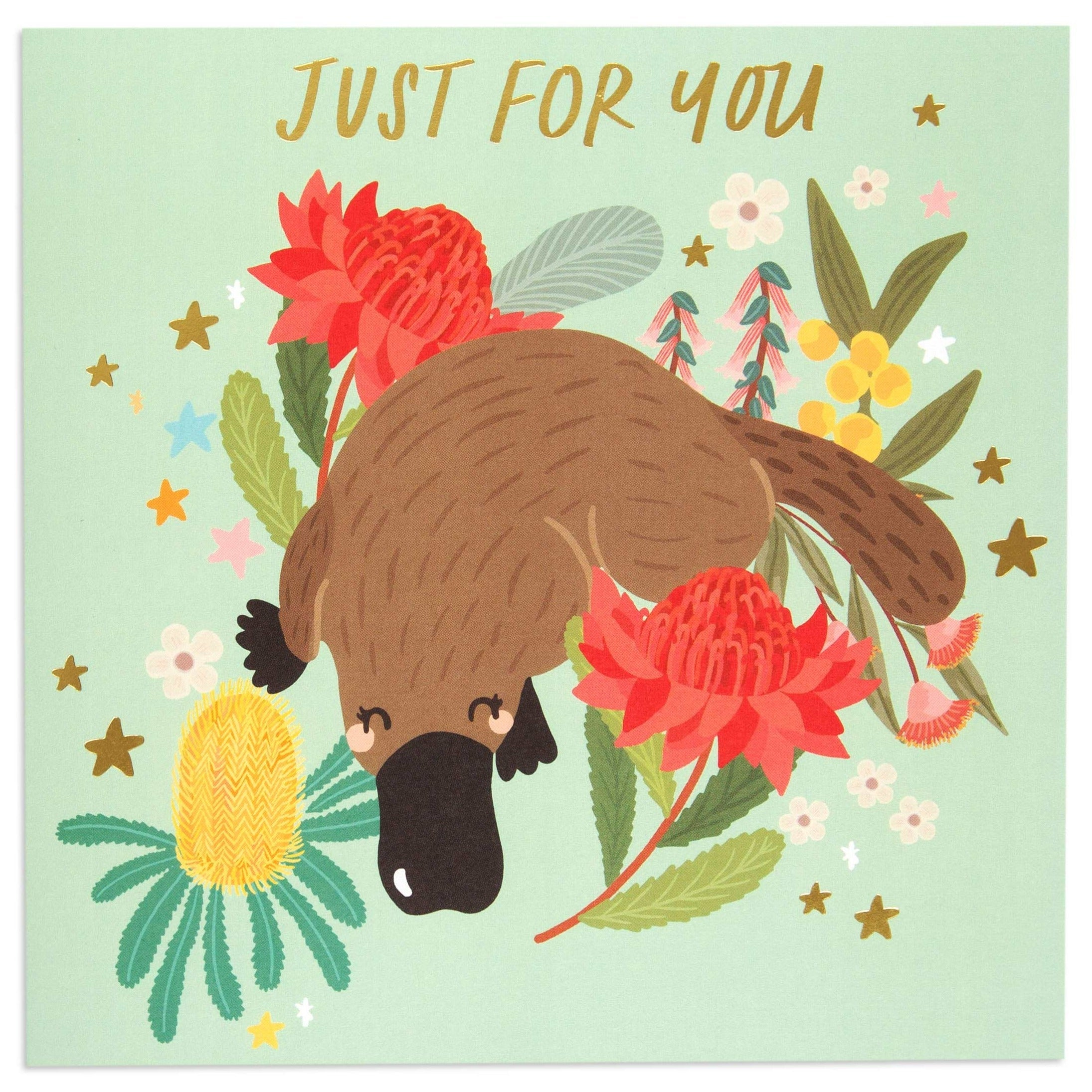Australian Spirit Bush Buddies Birthday Card  - Platypus