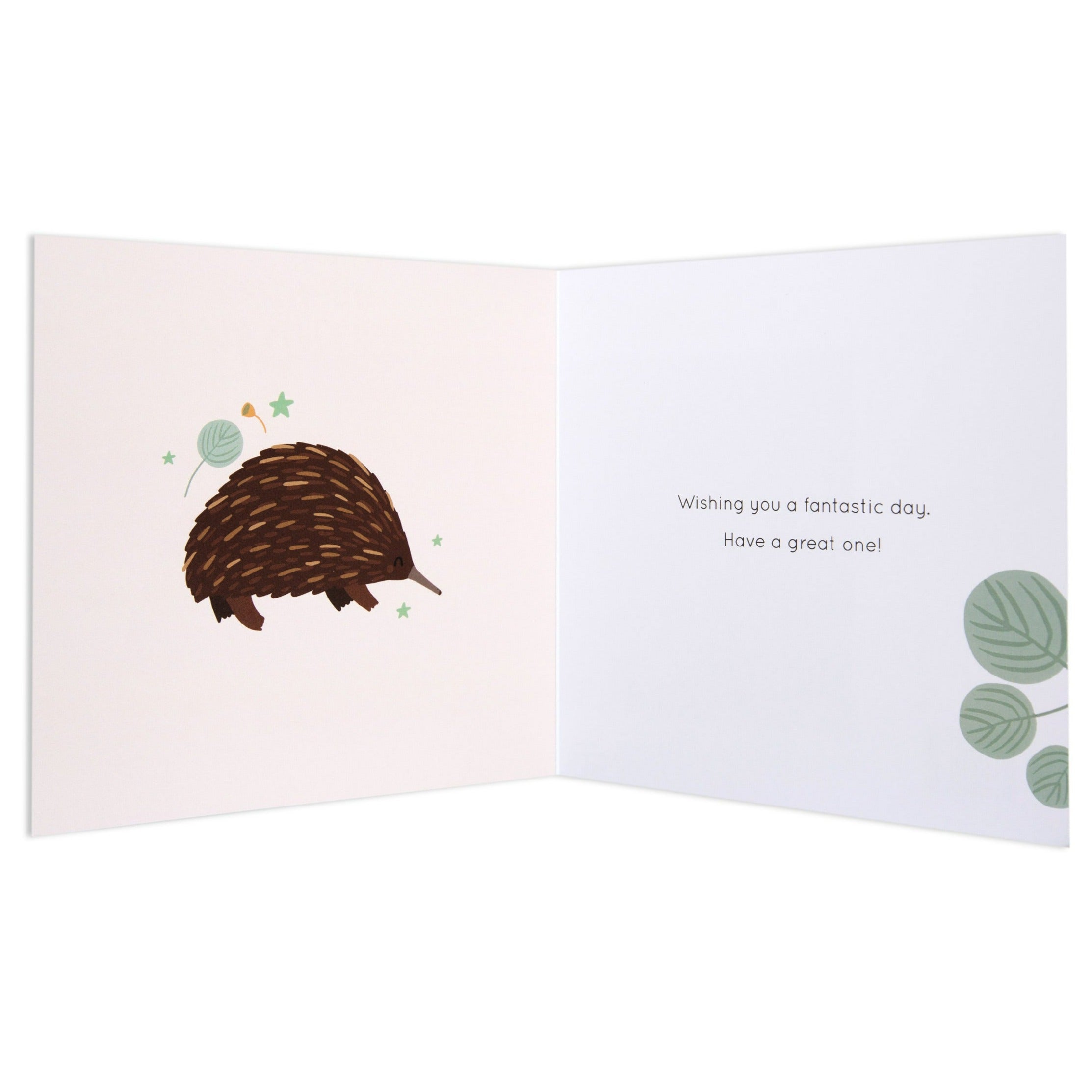 Australian Spirit Bush Buddies Birthday Card  - Echidna