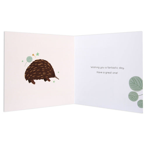 Australian Spirit Bush Buddies Birthday Card  - Echidna