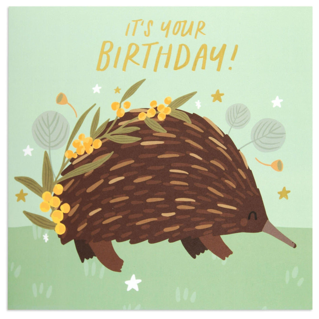 Australian Spirit Bush Buddies Birthday Card  - Echidna