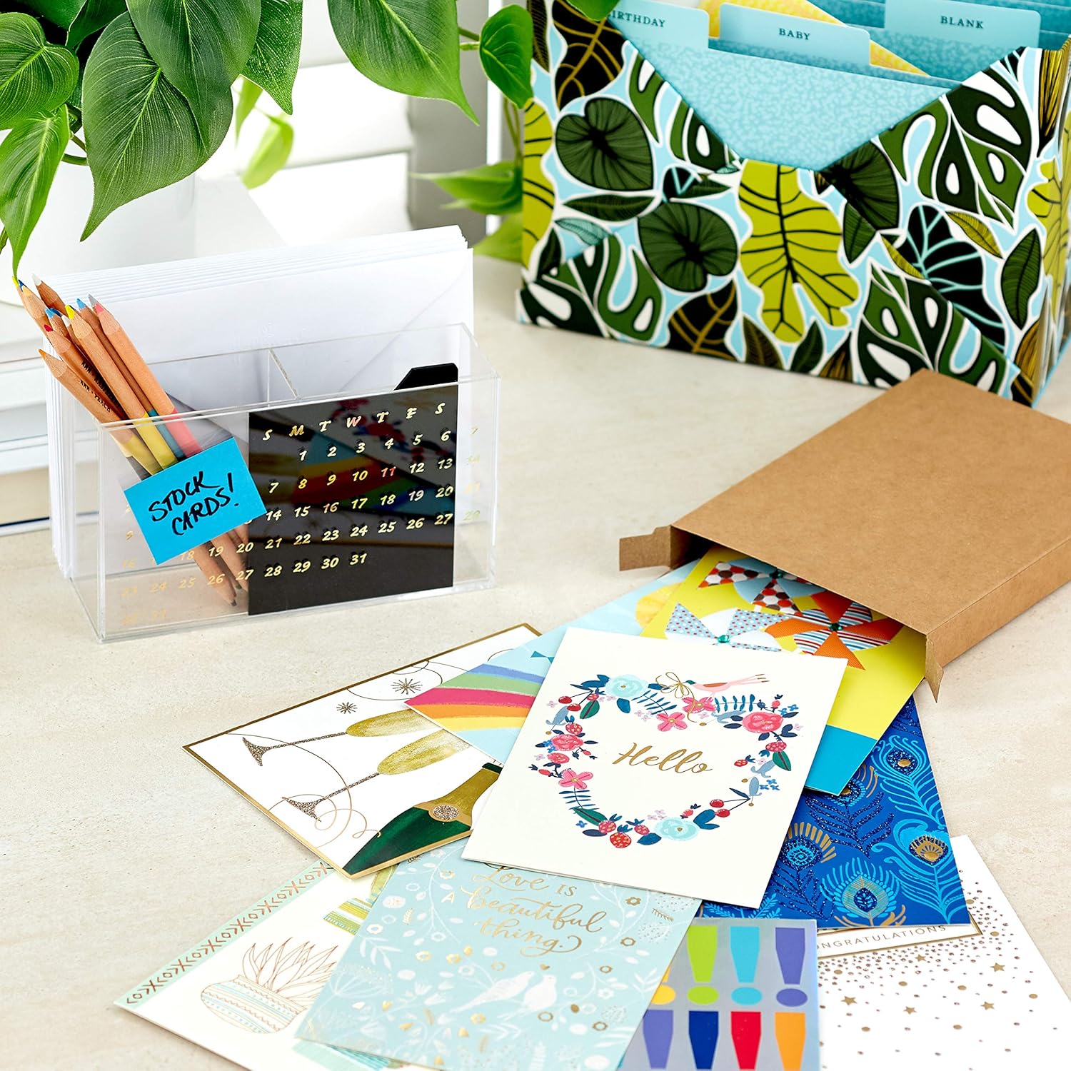 Hallmark All Occasion Cards Assortment Birthday, Congratulations, Blank Cards (12 Cards with Envelopes, Refill Pack for Hallmark Card Organizer Box)