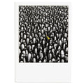 Cute Penguin Birthday Card