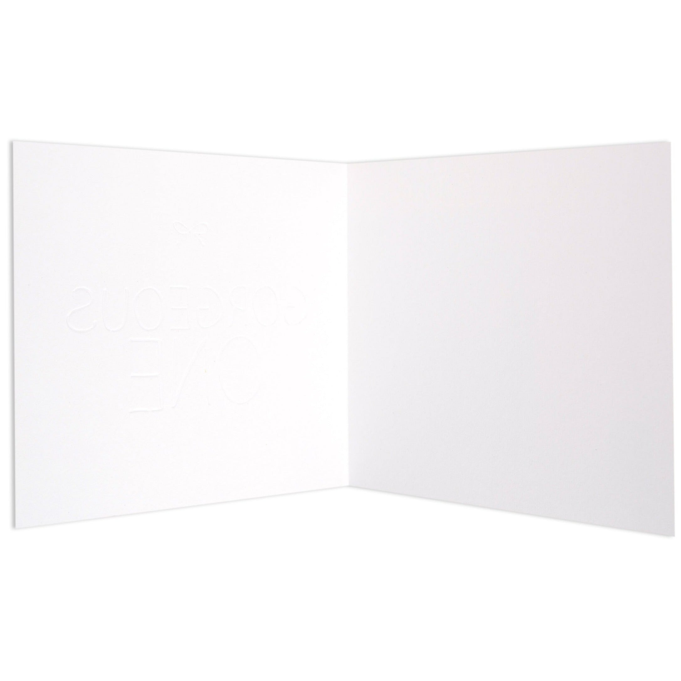 Gorgeous One Fun Birthday Card