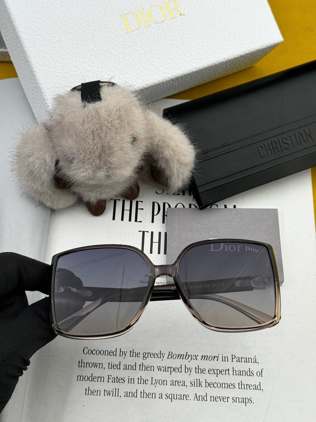DIOR MONTAIGNE SUNGLASS CD0751 IN ACETATE